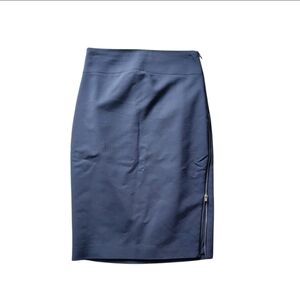 Express Pencil Skirt